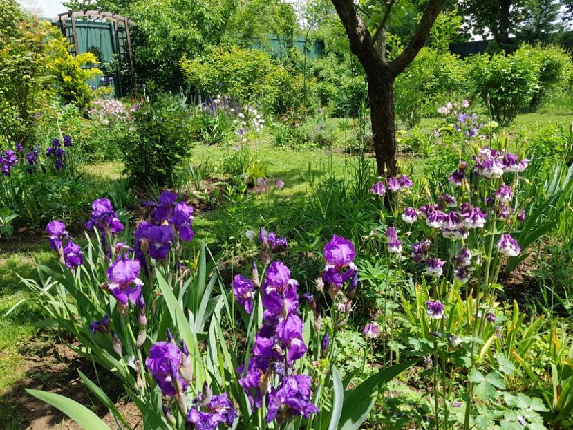  - 2020 Mart-Apr_Idilic garden