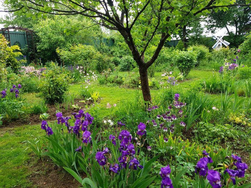  - 2020 Mart-Apr_Idilic garden