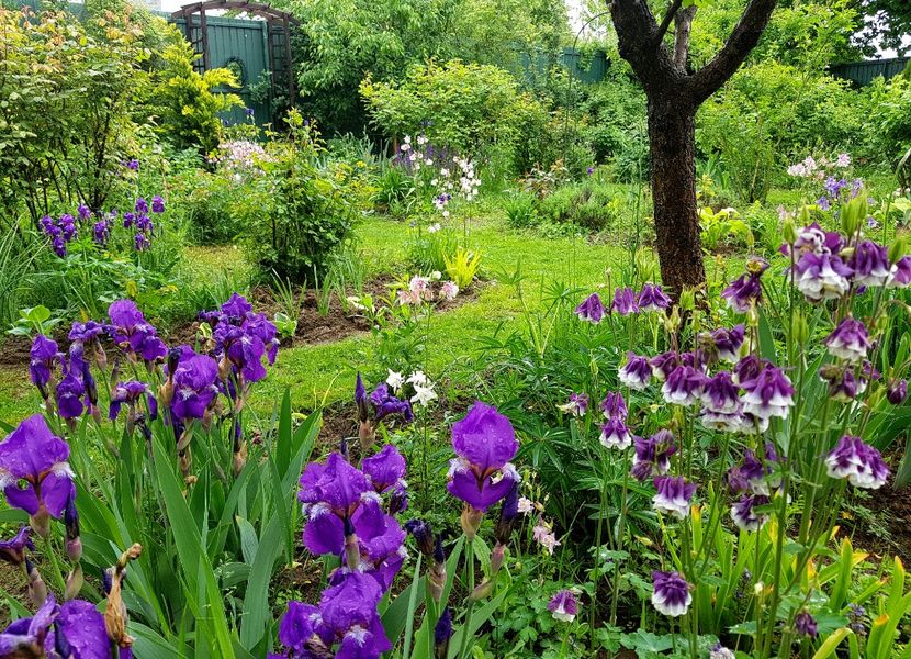  - 2020 Mart-Apr_Idilic garden