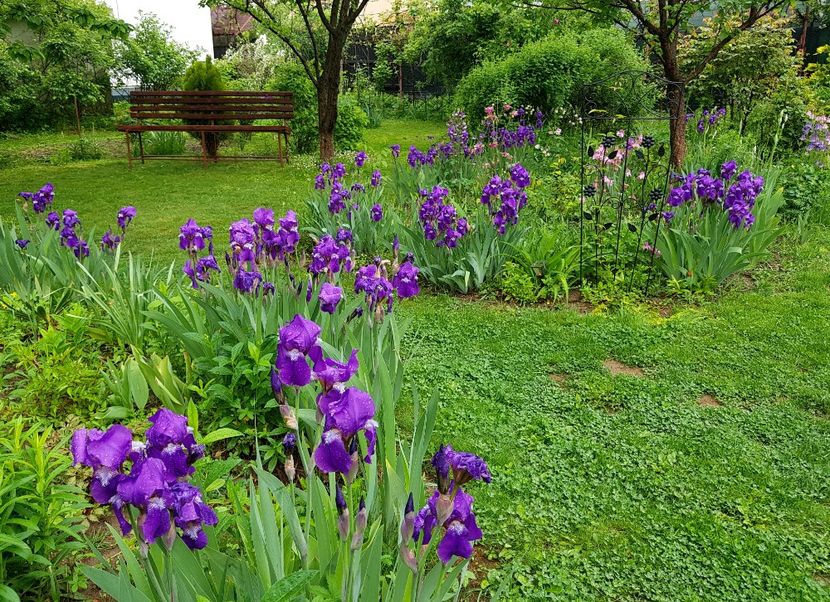  - 2020 Mart-Apr_Idilic garden