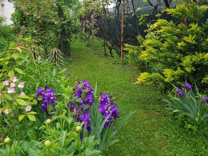  - 2020 Mart-Apr_Idilic garden