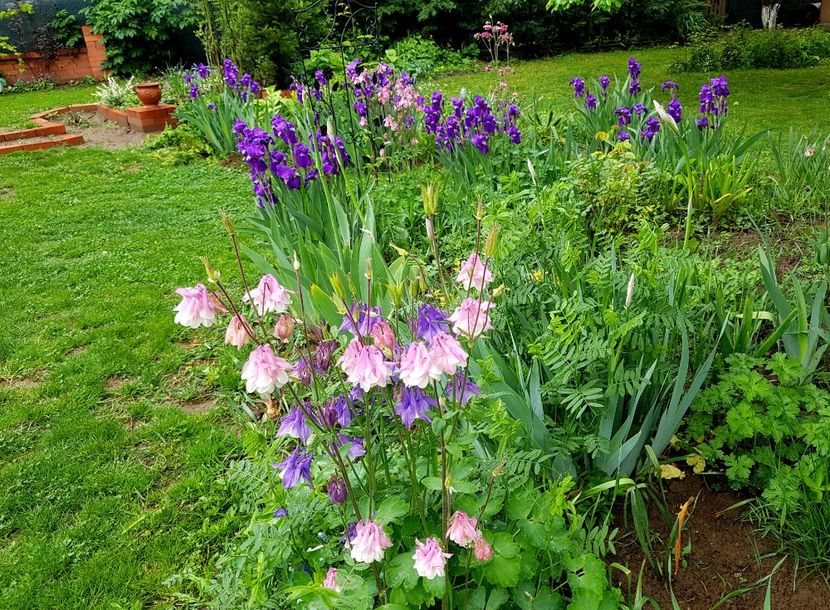  - 2020 Mart-Apr_Idilic garden