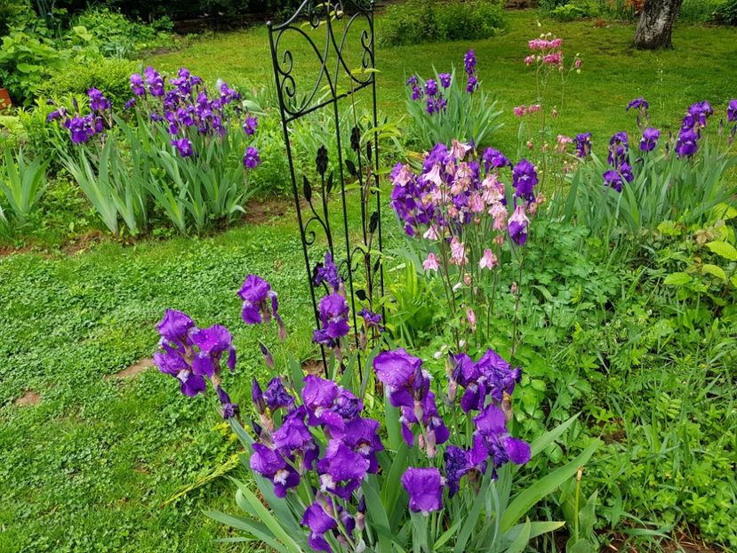  - 2020 Mart-Apr_Idilic garden