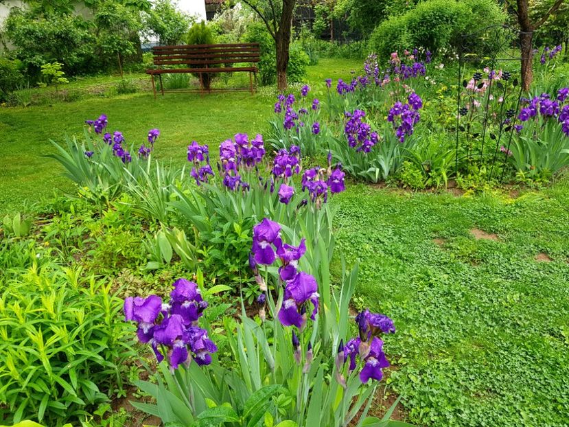  - 2020 Mart-Apr_Idilic garden