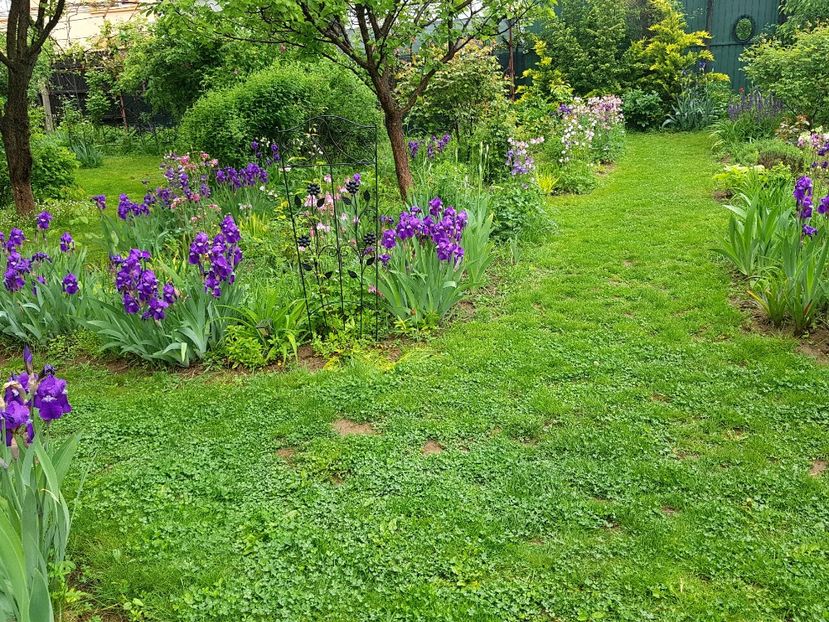  - 2020 Mart-Apr_Idilic garden