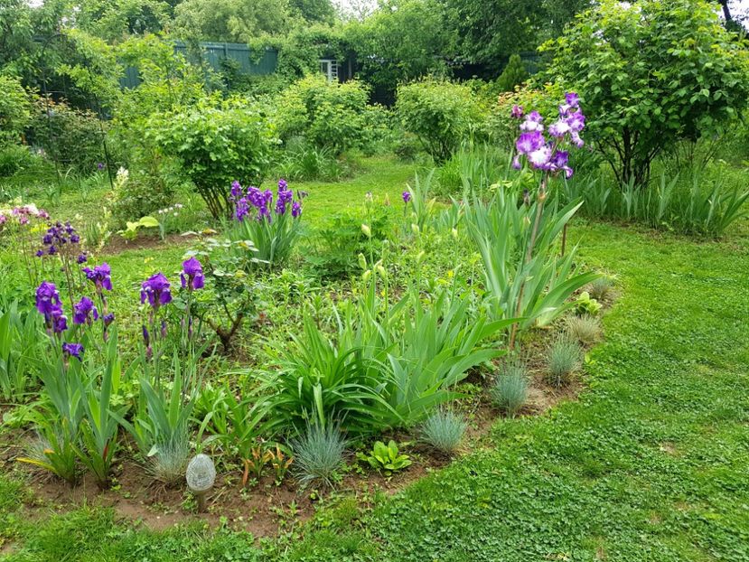  - 2020 Mart-Apr_Idilic garden