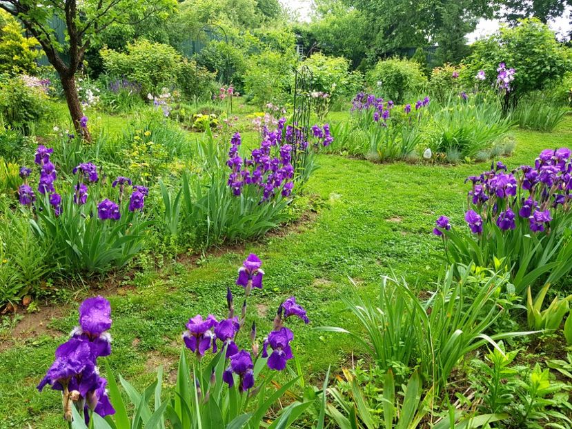  - 2020 Mart-Apr_Idilic garden