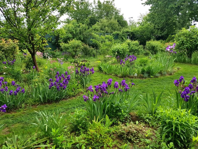  - 2020 Mart-Apr_Idilic garden