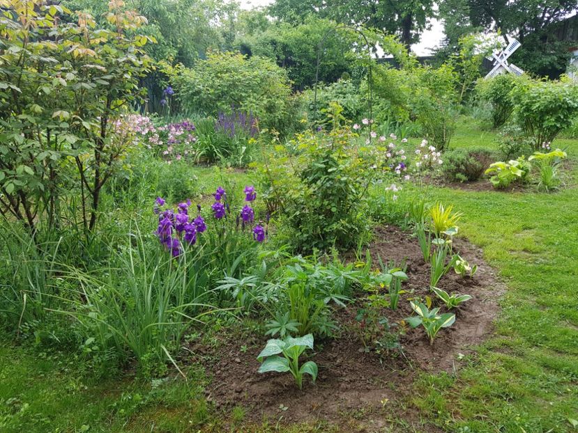  - 2020 Mart-Apr_Idilic garden