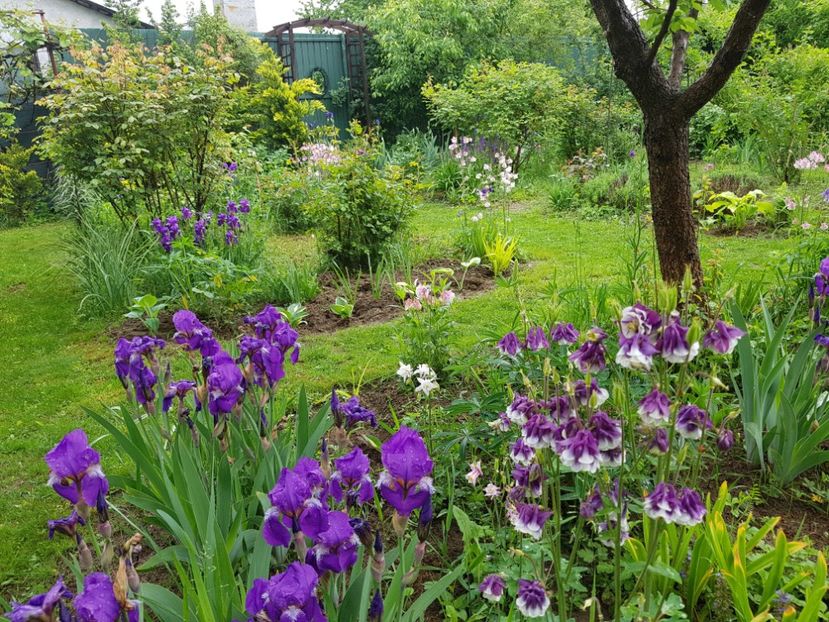  - 2020 Mart-Apr_Idilic garden