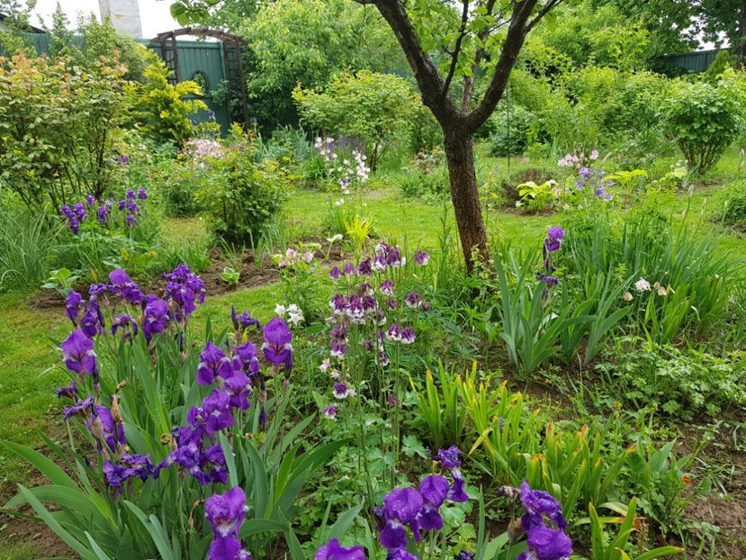  - 2020 Mart-Apr_Idilic garden