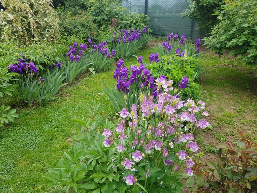  - 2020 Mart-Apr_Idilic garden