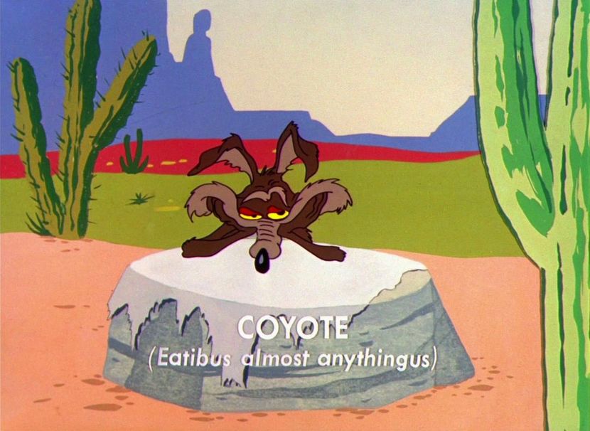 Road Runner and Wile E Coyote - Road Runner and Wile E Coyote