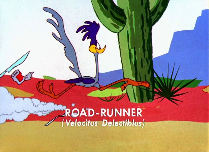 Road Runner and Wile E Coyote - Road Runner and Wile E Coyote