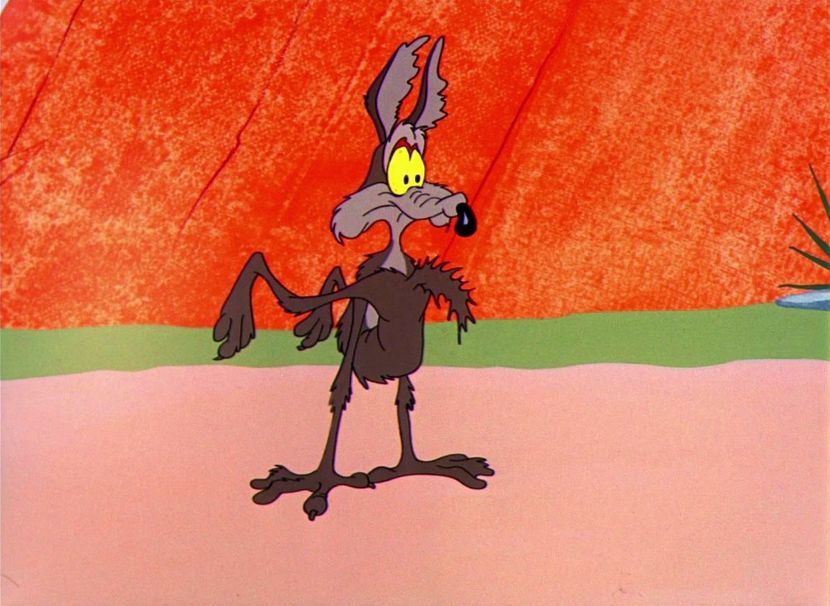 Road Runner and Wile E Coyote - Road Runner and Wile E Coyote