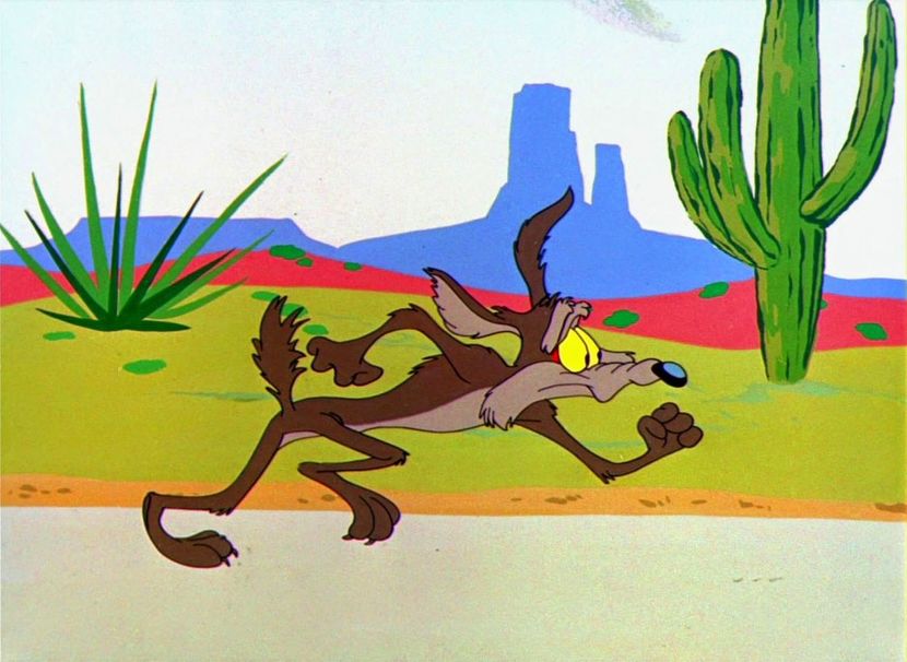 Road Runner and Wile E Coyote - Road Runner and Wile E Coyote