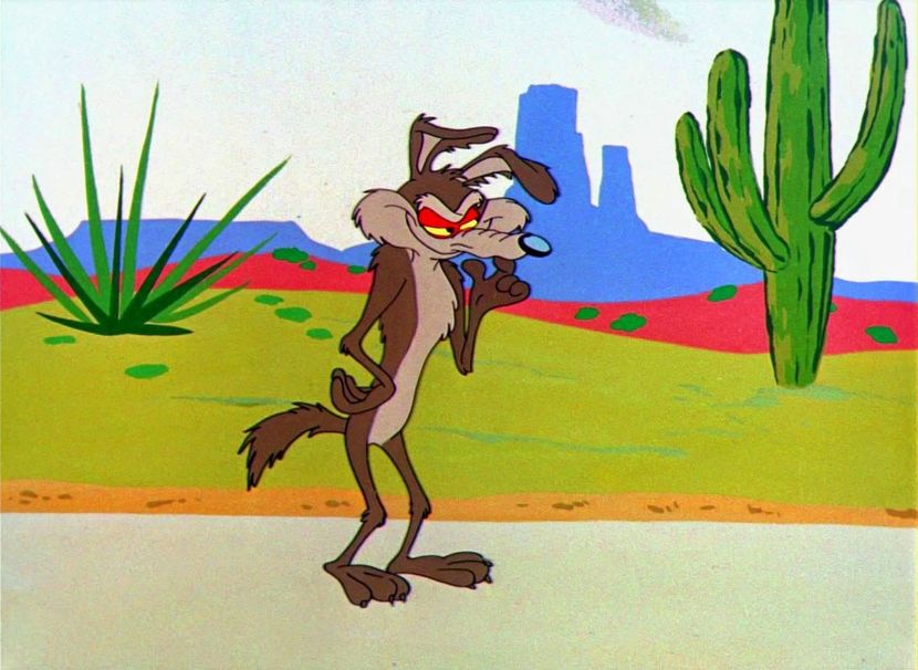 Road Runner and Wile E Coyote - Road Runner and Wile E Coyote