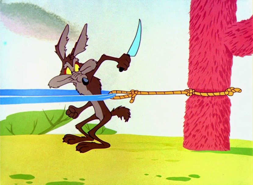 Road Runner and Wile E Coyote - Road Runner and Wile E Coyote