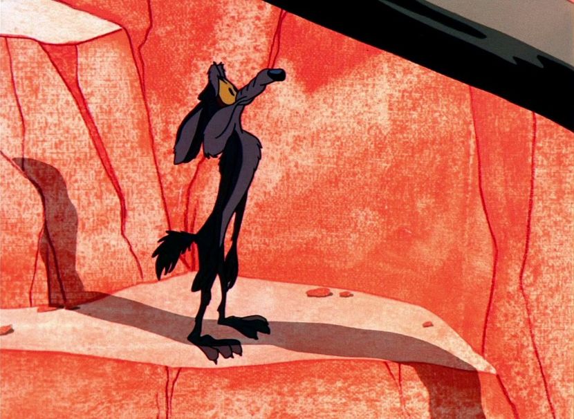 Road Runner and Wile E Coyote - Road Runner and Wile E Coyote