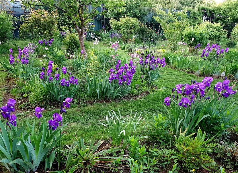  - 2020 Mai _Idilic Garden