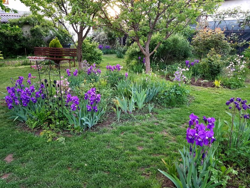  - 2020 Mai _Idilic Garden