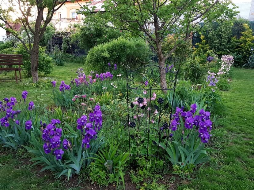  - 2020 Mai _Idilic Garden