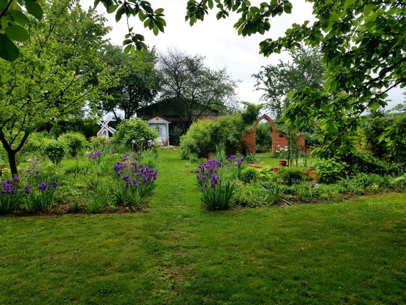  - 2020 Poiana Ciresului