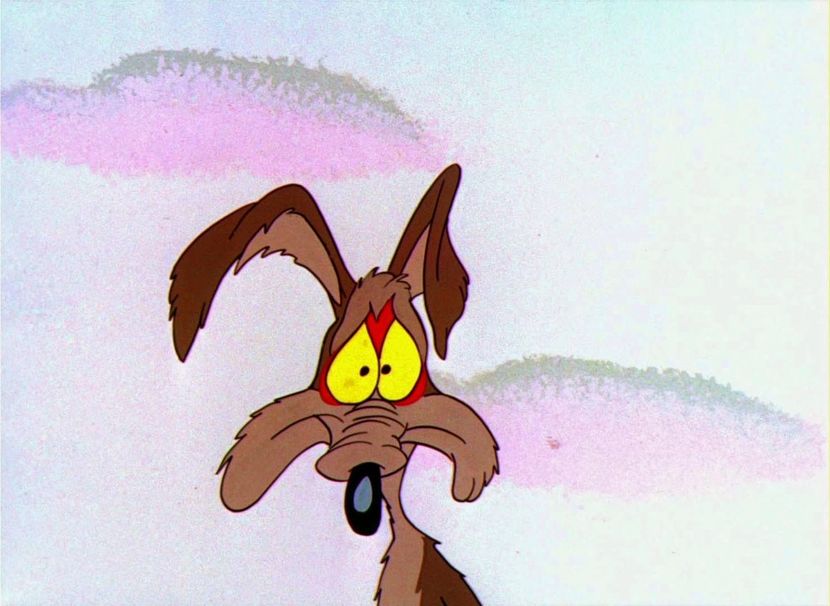 Road Runner and Wile E Coyote - Road Runner and Wile E Coyote