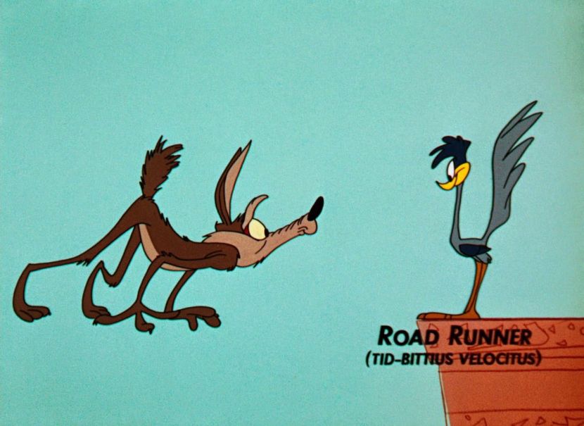 Road Runner and Wile E Coyote - Road Runner and Wile E Coyote