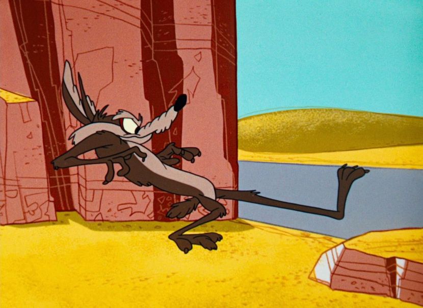 Road Runner and Wile E Coyote - Road Runner and Wile E Coyote