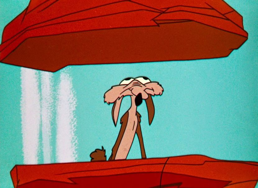 Road Runner and Wile E Coyote - Road Runner and Wile E Coyote