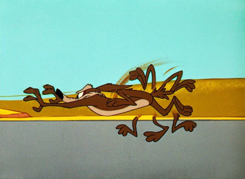 Road Runner and Wile E Coyote - Road Runner and Wile E Coyote
