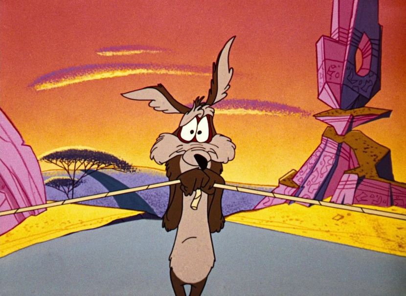 Road Runner and Wile E Coyote - Road Runner and Wile E Coyote