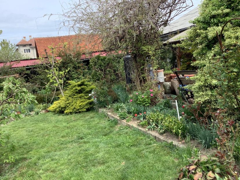 A504415E-DD0B-4AB5-B38B-447AF011DB4A - Gradi 2020 mai