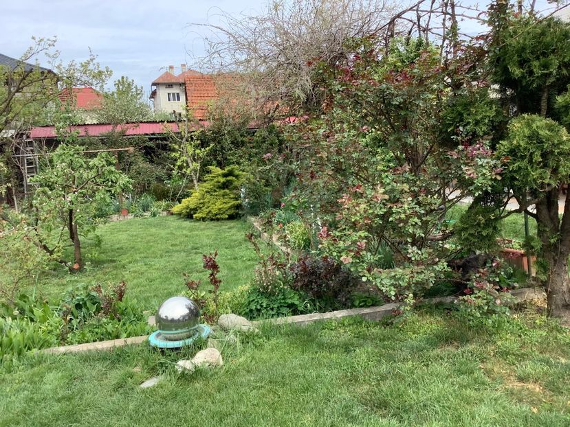 99F75525-4C6D-4D40-8B05-C40BA15EA3FA - Gradi 2020 mai