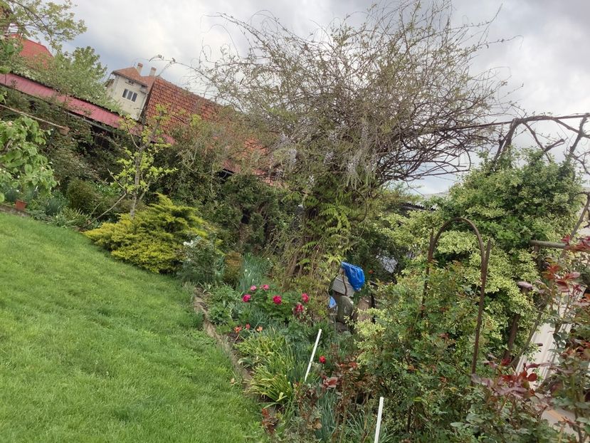 3401982E-7BBC-43D8-ABCE-9EB167AD048A - Gradi 2020 mai