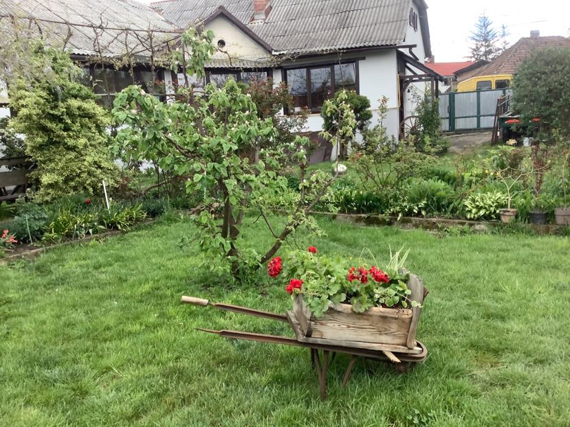 D44E15A5-0B59-4BFD-8190-EB9A1233C68E - Gradi 2020 mai