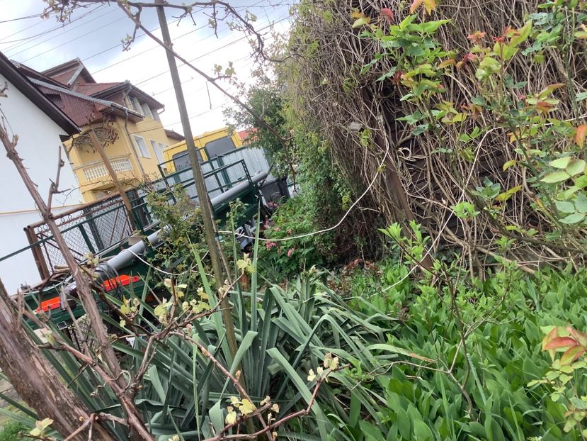 4364B0AA-B70F-4F7A-9A35-F070E9C876B6 - Gradi 2020 mai