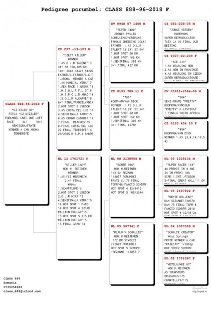  - Pedigree femele matca