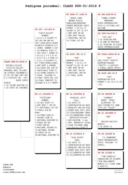  - Pedigree femele matca