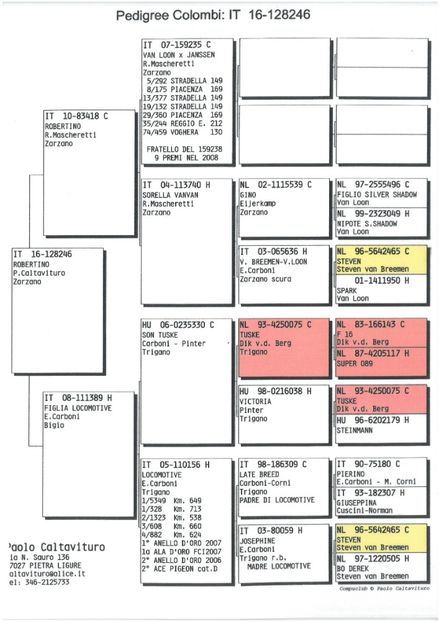 SKM_C224e18041814020_0001 - Pedigree femele matca