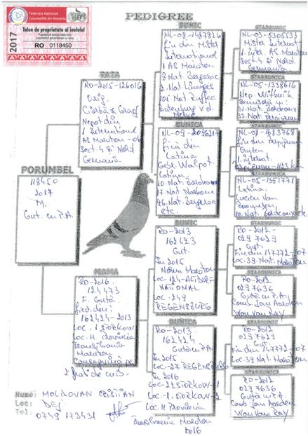 SKM_C224e18041813330_0001 - Pedigree femele matca