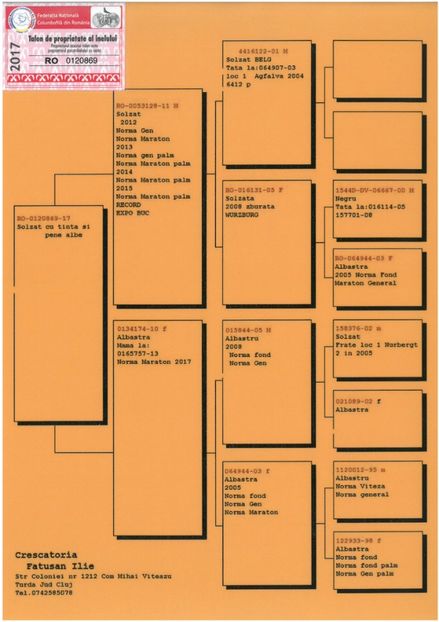 SKM_C224e18041813590_0001 - Pedigree femele matca