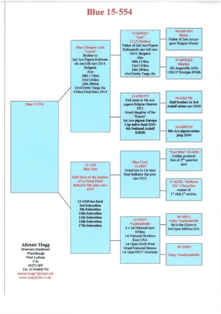 SKM_C224e18041813210_0001 - Pedigree femele matca