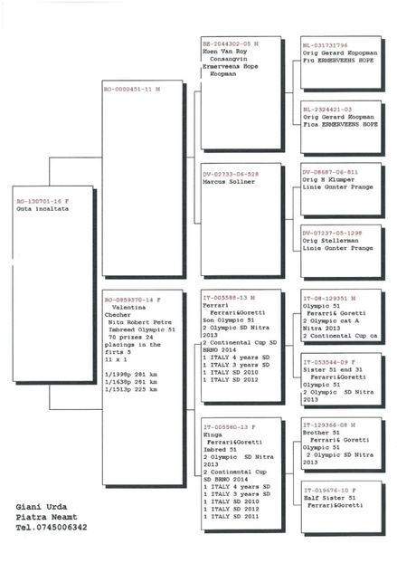 SKM_C224e18041813290_0001 - Pedigree femele matca