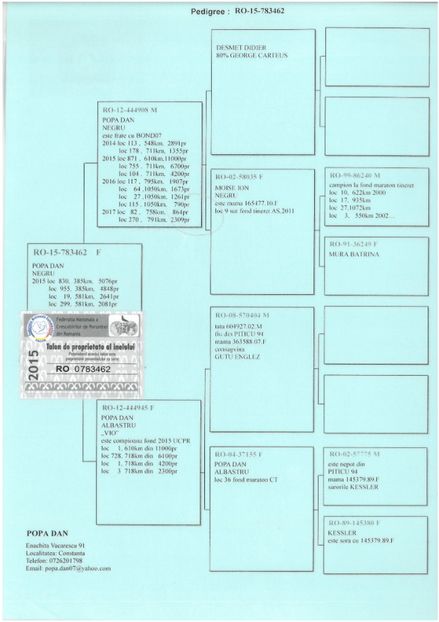 SKM_C224e18041813301_0001 - Pedigree femele matca