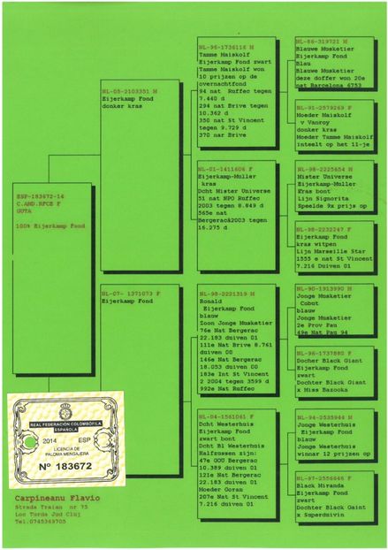 SKM_C224e18041813281_0001 - Pedigree femele matca