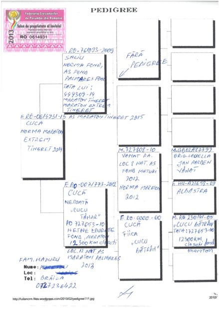 SKM_C224e18041813241_0001 - Pedigree femele matca