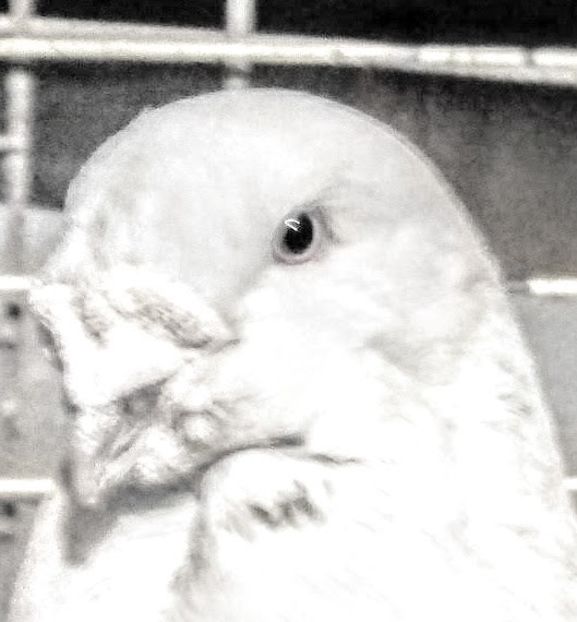  - - A - A - A - A- W A R N I N G !