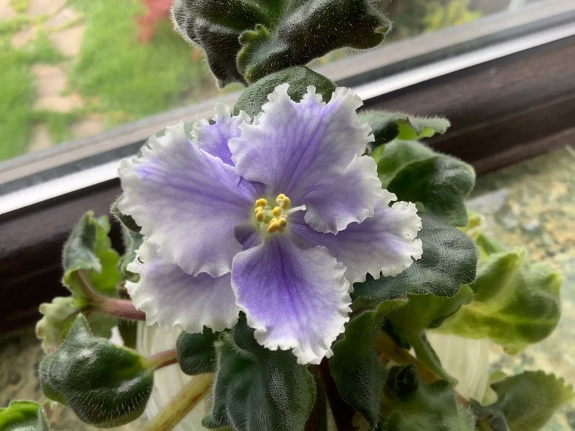 151A7D9C-79BA-4FDD-A7FE-1834EDFC6A5F - Key Yoki